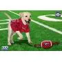 Pets First NCAA Georgia Bulldogs Football Dog Toy, Tough Quality Nylon Materials, Strong Pull Ropes, Inner Squeaker, Collegiate Team Color Pets First NCAA Georgia Bulldogs Football Dog Toy, Tough Quality Nylon Materials, Strong Pull Ropes, Inner Squeaker, Collegiate Team Color