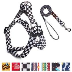 QQPETS Dog Harness Leash Set, Adjustable Vest Durable Heavy Duty Small Medium & Large Dogs Perfect for Walking Running Training Black and White Plaid Pattern