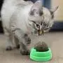 BeesClover Rotating Catnip Mint Ball Cat Natural Snacks Licking Sugar Teeth Cleaning Grinding Toy pet Gift