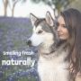 WashBar Natural Dog Deodorant Spray - Lightly Scented, Primrose & Lavender Spray, Freshening Dog Cologne Odor Eliminator, All Natural, Daily Use, Large Size 8.45 oz