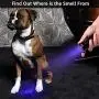 LE Small UV Flashlight, Portable Black Light with 21 LEDs, 395nm, Ultraviolet Light Detector for Invisible Ink Pens, Pet Dog Cat Urine Stain and more, AAA Batteries Included LE Small UV Flashlight, Portable Black Light with 21 LEDs, 395nm, Ultraviolet Light Detector for Invisible Ink Pens, Pet Dog Cat Urine Stain and more, AAA Batteries Included