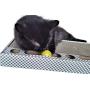 3CatS Cat Toy and Scratcher with Jingle Balls in Track - Cardboard Cat Scratching Box