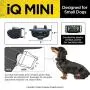 Dogtra IQ Mini Small Dog Remote Training System - 400 Yard Range Collar, Rechargeable Remote Trainer, Waterproof, Static, Vibration Pager Training with PetsTEK Dog Training Clicker