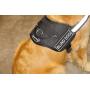 DT Works Harness, Blind Dog, Black/White, Medium - Fits Girth Size: 28-Inch to 38-Inch
