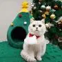 Petlex Pet Cave Bed Covered Cat Bed Puppy Tent House, Warm Sleeping Cave Pet Bed for Cats Small Dogs, Soft Cat Nest with Removable Cushion Washable, Cozy Cave Cat Bed Burrow Dog Bed