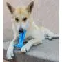 Pacific Pups Products supporting PacificPupRescue.com - 18 Piece Dog Toy Set with Dog Chew Toys, Rope Toys for Dogs, Plush Dog Toys and Dog Treat Dispenser Ball - Supports Non-Profit Dog Rescue