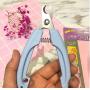 PJKKawesome Safety Dog Nail Clippers No Pain Safety Switch to Prevent Over Cut for Grooming Pet Nail Medium Sized Dog Blue S Pet Supplies