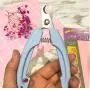 PJKKawesome Safety Dog Nail Clippers No Pain Safety Switch to Prevent Over Cut for Grooming Pet Nail Medium Sized Dog Blue S Pet Supplies PJKKawesome Safety Dog Nail Clippers No Pain Safety Switch to Prevent Over Cut for Grooming Pet Nail Medium Sized Dog Blue S Pet Supplies