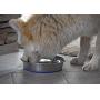OurPets DuraPet Slow Feed Premium Stainless Steel Dog Bowl (Durable Stainless Steel Dog Bowls, Slow Feeder Dog Bowls, Dog Food Bowl, Dog Water Bowl) Great Alternative to Snuffle Mat for Dogs