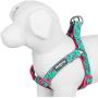 Blueberry Pet Essentials 2 Patterns Zoo Fun Dog Harnesses