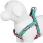 Blueberry Pet Essentials 2 Patterns Zoo Fun Dog Harnesses Blueberry Pet Essentials 2 Patterns Zoo Fun Dog Harnesses