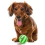 SunGrow Teething Treat Ball for Dogs, Interactive Pet Training Toy, Durable, Rubber Tooth Chewing Toy, Boredom Buster for Physical & Mental Encouragement, 1 Piece