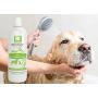 Nootie ❶ Dog Shampoo with Soothing Aloe Best for All Pets Including Dogs, Cats, and Horses - 100% All Natural Deodorizing Soap Free Formula Provides Itchy Skin Relief - 16 Oz.