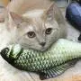 ocijf179 Cats Toy Pet Cats Artificial Plush Fish Shaped Catnip Dental Teeth Care Clean Chewing Toy - S Grass Carp ocijf179 Cats Toy Pet Cats Artificial Plush Fish Shaped Catnip Dental Teeth Care Clean Chewing Toy - S Grass Carp