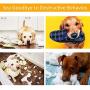GODORIO Large Dog Snuffle Mat Slow Feeding Bowl for Puppies and Small Pet Durable Interactive Puzzle Toys, Encourages Dogs Cat Training Pad Increases Skills and Release Stress