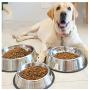 TEESUN Stainless Steel Dog Bowls, 2 Single Bowl for Dog Food and Water Raised Pet Eating Dishes for Small Medium Dog, Cats, Puppies with Non Slip Rubber Base