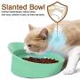 CATPRO Spill-Proof Slanted Bowl for Dogs and Cats, Non-Slip Tilted Dog Feeder, Ergonomic Cat Food Dish, Shallow Wide Food Bowl Eat with Ease for French Bulldog, Pug, Bagh, Garfield