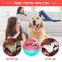 WLHOPE Dog Chew Suction Cup Tug of War Toy, Rope with Resistance to Strong Bites Strong Training Effect for Small Medium Dogs (Blue Pink)