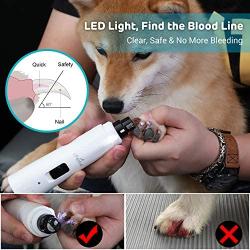 iPettie Dog Nail Grinder with LED Light, 2020 Upgraded, Quiet 2-Speed Electric Rechargeable Pet Nail Trimmer Painless Paws Grooming & Smoothing for Small Medium Large Dogs & Cats