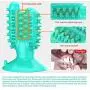 CHZHENG Dog Chew Toothbrush Toys, Cactus Toys Suction Cup Pet Toy Treat Dispenser for Small/Medium/Large Dogs,Blue CHZHENG Dog Chew Toothbrush Toys, Cactus Toys Suction Cup Pet Toy Treat Dispenser for Small/Medium/Large Dogs,Blue