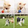 DAWEIF Play Interactive Bite Ball Chewer Dog Chew Toy Squeaky Soft Latex Chewer Floating Bouncing Ball(D Large Volleyball)