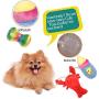 PLAYJOY Puppy Chew Toys / Small Dog Toys,Dog Toys for Small Medium Dogs, Interactive Dog Toys for Boredom , Squeaky Plush Dog Toys, Puppy Toys