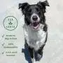 Koa Earth Certified Compostable Poop Bags for Dogs, Premium Extra Thick, Leak Proof, Unscented Dog Poop Bags, Plant-Based and Helps Shelter Dogs Koa Earth Certified Compostable Poop Bags for Dogs, Premium Extra Thick, Leak Proof, Unscented Dog Poop Bags, Plant-Based and Helps Shelter Dogs