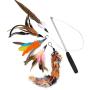 Apofly 5PCS Funny Cat Rod Set Kitten Toys, Cat Fishing Rod Toys Pet Cat Toy Fishing Rod Telescopic Feather Funny Cat Rod Replacement Head Five