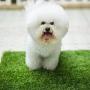 MTBRO Dog Grass Mat, Professional Dog Grass Pee Pads and Dog Potty Grass，Outdoor Pet Potty Training and Replacement Grass Mat，3 Feet X 5 Feet