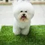 MTBRO Dog Grass Mat, Professional Dog Grass Pee Pads and Dog Potty Grass，Outdoor Pet Potty Training and Replacement Grass Mat，3 Feet X 5 Feet