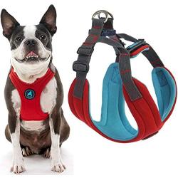 Gooby Dog Harness - Convertible Sport Step-in Neoprene Small Dog Harness with Adjustable Neck Fastener - Perfect on The Go Harness for Small Dogs or Cat Harness