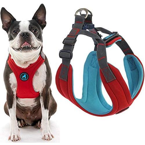 Gooby Dog Harness - Convertible Sport Step-in Neoprene Small Dog Harness with Adjustable Neck Fastener - Perfect on The Go Harness for Small Dogs or Cat Harness