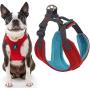 Gooby Dog Harness - Convertible Sport Step-in Neoprene Small Dog Harness with Adjustable Neck Fastener - Perfect on The Go Harness for Small Dogs or Cat Harness
