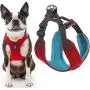 Gooby Dog Harness - Convertible Sport Step-in Neoprene Small Dog Harness with Adjustable Neck Fastener - Perfect on The Go Harness for Small Dogs or Cat Harness Gooby Dog Harness - Convertible Sport Step-in Neoprene Small Dog Harness with Adjustable Neck Fastener - Perfect on The Go Harness for Small Dogs or Cat Harness