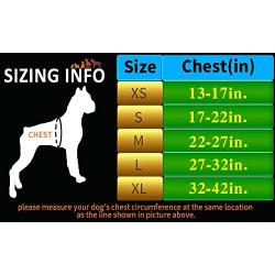 juxzh Truelove Soft Front Dog Harness .Best Reflective No Pull Harness with Handle and 2 Leash Attachments