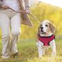 Weebo Pets SoftnSafe Adjustable Dog Harness (Pink, S)