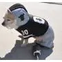 Dog Gone Cute by Lous Doggie Boutique 4 Piece Football Costume (Jersey, Pants, Helmet and Toy Ball)-Extra Small (XS)