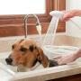 Lucidz Shower Sprays Hose Faucet Attachment Hair Sink Baby a bath Tub Indoors Dog Pet Washing Outdoor