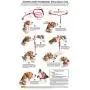 PetSafe Chic Gentle Leader Headcollar, No-Pull Dog Collar – Perfect for Leash & Harness Training – Stops Pets from Pulling and Choking on Walks – Works with Small, Medium and Large Dogs PetSafe Chic Gentle Leader Headcollar, No-Pull Dog Collar – Perfect for Leash & Harness Training – Stops Pets from Pulling and Choking on Walks – Works with Small, Medium and Large Dogs