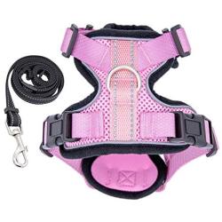 Cat Harness and Leash for Walking, Outdoor Escape Proof Pet Vest for Cats, Small Dogs and Rabbit, Comfortable Breathable Soft Mesh with Bright Reflective Straps, Easy Adjustable Neck and Chest Size