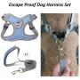 Surepet Dog Harnesses with Leash for Small Medium Dogs Adjustable,Reflective