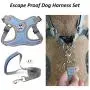 Surepet Dog Harnesses with Leash for Small Medium Dogs Adjustable,Reflective Surepet Dog Harnesses with Leash for Small Medium Dogs Adjustable,Reflective