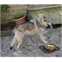 v Dog Bowl-Large Capacity Pet Bowl Silicone Food Mat No Spill Non-Skid Cat Bowl Dog Food Water Bowl Basic Bowl for Dog Cat Feeding