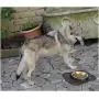 v Dog Bowl-Large Capacity Pet Bowl Silicone Food Mat No Spill Non-Skid Cat Bowl Dog Food Water Bowl Basic Bowl for Dog Cat Feeding v Dog Bowl-Large Capacity Pet Bowl Silicone Food Mat No Spill Non-Skid Cat Bowl Dog Food Water Bowl Basic Bowl for Dog Cat Feeding