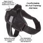 PETMAKER Dog Harness