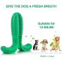 Dog Chew Toys, Dog Teeth Cleaning Toys, Dog Toothbrush Chew Toys, Natural Rubber Dental Toothbrush Toys, Puppy Brushing Stick Dental Oral Care for Pet, Toothbrush for Dog Puppies (Green)