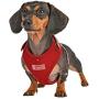 Puppia Life - Neil Superior Harness
