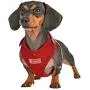 Puppia Life - Neil Superior Harness Puppia Life - Neil Superior Harness