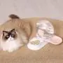 OldPAPA Automatic Cat Feeder, Snail Shape Pet Water Dispenser and Food Bowl Set - 2 in 1 Gravity Waterer Dispenser Double Pet Feeder for Dogs and Cats OldPAPA Automatic Cat Feeder, Snail Shape Pet Water Dispenser and Food Bowl Set - 2 in 1 Gravity Waterer Dispenser Double Pet Feeder for Dogs and Cats