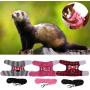 POPETPOP Small Animals Harness Vest and Leash Set, Adjustable Outdoor Walking Chest Strap Harness with Cute Bowknot for Rabbit, Guinea Pig Hamster